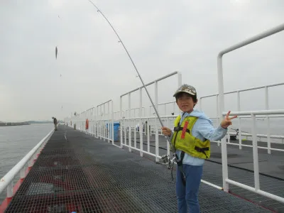 尼崎市立魚つり公園の2022年7月27日(水)2枚目の写真