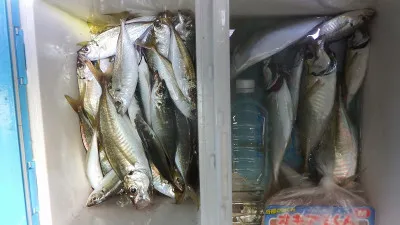 真珠・山本釣り筏の2022年7月24日(日)3枚目の写真