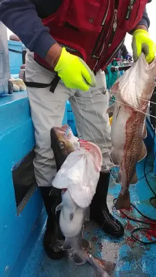 釣りキチ丸の2022年7月30日(土)5枚目の写真