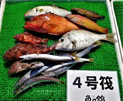 三重外湾漁協 錦事業所直営 釣り筏の2022年7月29日(金)1枚目の写真