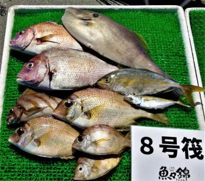 三重外湾漁協 錦事業所直営 釣り筏の2022年7月29日(金)2枚目の写真