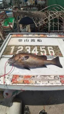築山渡船の2022年8月4日(木)1枚目の写真