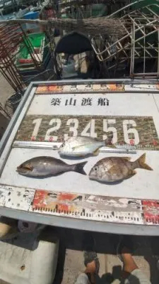 築山渡船の2022年8月4日(木)2枚目の写真