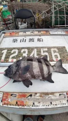 築山渡船の2022年8月6日(土)1枚目の写真