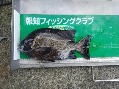 マルヒサ渡船の2022年8月7日(日)1枚目の写真