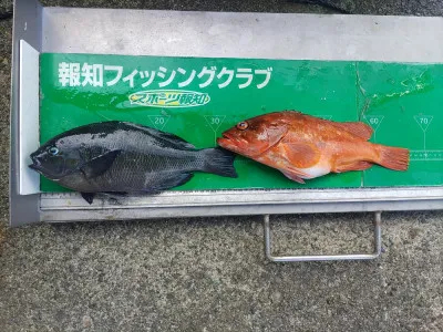 マルヒサ渡船の2022年8月7日(日)5枚目の写真
