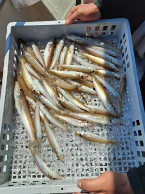 釣り船くわだの2022年8月7日(日)3枚目の写真