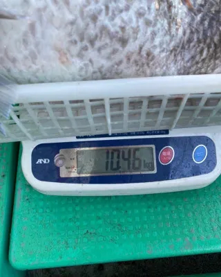 日正丸の2022年8月9日(火)5枚目の写真