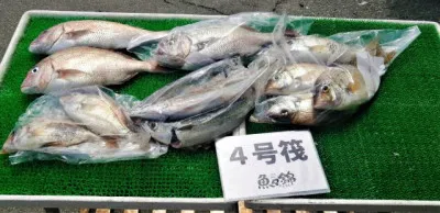 三重外湾漁協 錦事業所直営 釣り筏の2022年8月6日(土)2枚目の写真