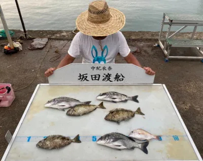 坂田渡船の2022年8月13日(土)1枚目の写真