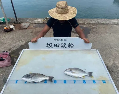 坂田渡船の2022年8月14日(日)3枚目の写真