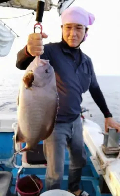 鹿児島県川内港 パイン5号の釣果詳細 釣果 施設情報 釣りビジョン 釣果 施設情報 釣りビジョン