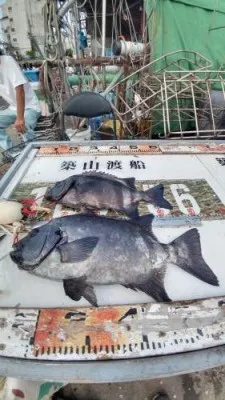 築山渡船の2022年8月22日(月)2枚目の写真