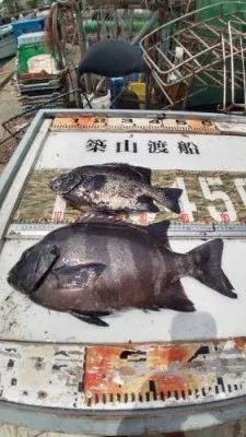 築山渡船の2022年8月22日(月)3枚目の写真