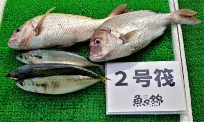 三重外湾漁協 錦事業所直営 釣り筏の2022年8月26日(金)2枚目の写真