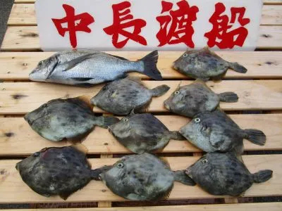 中長渡船の2022年9月11日(日)3枚目の写真