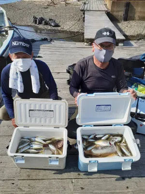 安乗釣センターの2022年9月14日(水)3枚目の写真