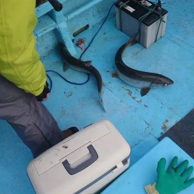 第十八大成丸の2022年9月21日(水)2枚目の写真