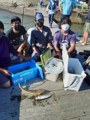 安乗釣センターの2022年9月24日(土)2枚目の写真