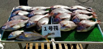 三重外湾漁協 錦事業所直営 釣り筏の2022年9月30日(金)2枚目の写真
