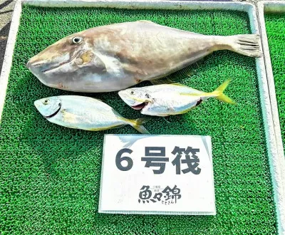 三重外湾漁協 錦事業所直営 釣り筏の2022年10月2日(日)2枚目の写真