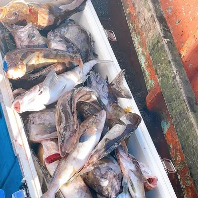 釣船オホーツク 光海丸 慶福丸の2022年10月9日(日)1枚目の写真