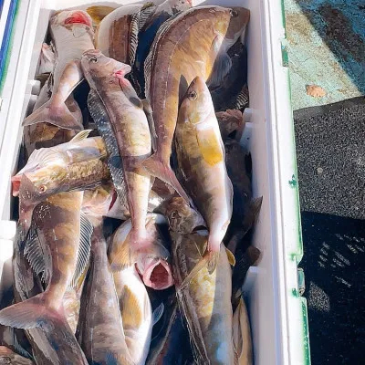 釣船オホーツク 光海丸 慶福丸の2022年10月9日(日)2枚目の写真