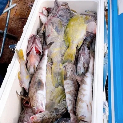 釣船オホーツク 光海丸 慶福丸の2022年10月15日(土)1枚目の写真