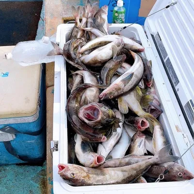 釣船オホーツク 光海丸 慶福丸の2022年10月15日(土)2枚目の写真