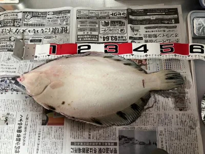釣船オホーツク 光海丸 慶福丸の2022年11月1日(火)1枚目の写真