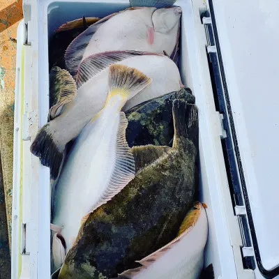 釣船オホーツク 光海丸 慶福丸の2022年11月1日(火)2枚目の写真