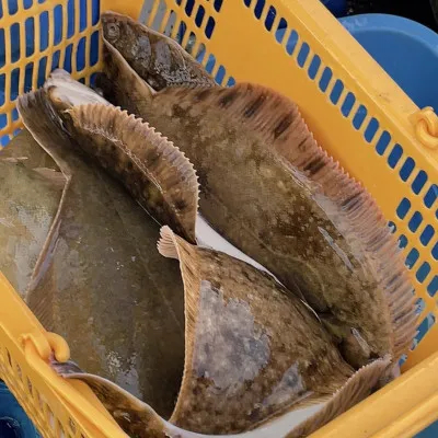 釣船オホーツク 光海丸 慶福丸の2022年11月1日(火)3枚目の写真
