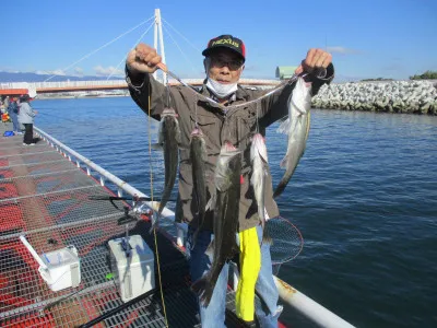 尼崎市立魚つり公園の2022年11月2日(水)1枚目の写真