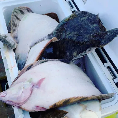 釣船オホーツク 光海丸 慶福丸の2022年11月5日(土)1枚目の写真