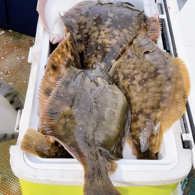 釣船オホーツク 光海丸 慶福丸の2022年11月8日(火)1枚目の写真