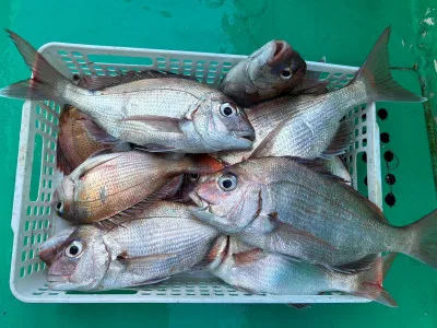 日正丸の2022年11月10日(木)5枚目の写真