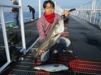 尼崎市立魚つり公園の2022年11月11日(金)1枚目の写真