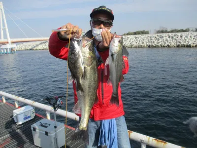 尼崎市立魚つり公園の2022年11月11日(金)2枚目の写真