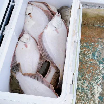 釣船オホーツク 光海丸 慶福丸の2022年11月12日(土)1枚目の写真