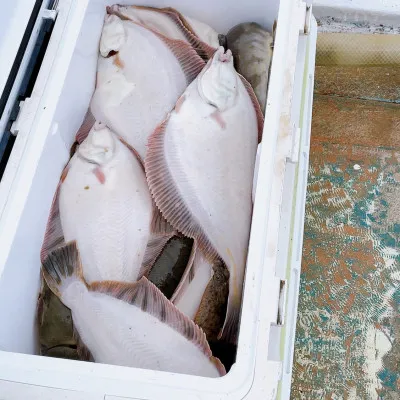 釣船オホーツク 光海丸 慶福丸の2022年11月12日(土)1枚目の写真