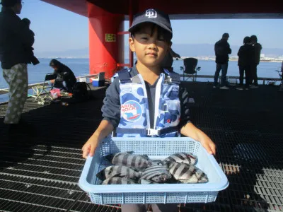 尼崎市立魚つり公園の2022年11月12日(土)2枚目の写真