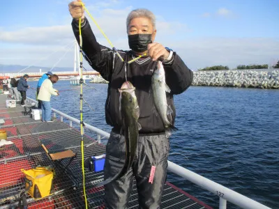 尼崎市立魚つり公園の2022年11月14日(月)4枚目の写真