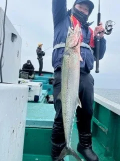 釣り船 大翔丸の2022年11月22日(火)2枚目の写真
