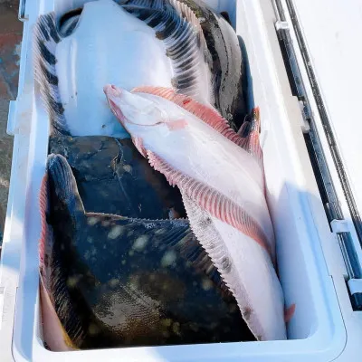 釣船オホーツク　光海丸　慶福丸の2022年11月20日(日)1枚目の写真