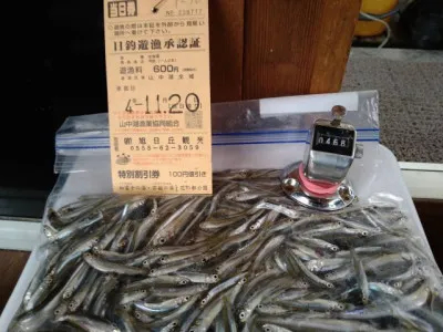 旭日丘観光の2022年11月20日(日)1枚目の写真