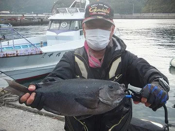 瀬渡し 千代丸の2022年11月12日(土)1枚目の写真