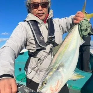 釣り船 大翔丸の2022年12月2日(金)3枚目の写真