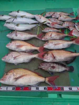 安延遊漁　建鳳丸の2022年12月3日(土)1枚目の写真