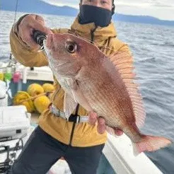 菜々海IIの2022年12月6日(火)3枚目の写真