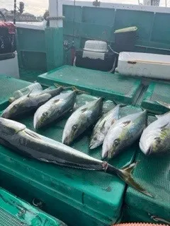 釣り船 大翔丸の2022年12月7日(水)5枚目の写真